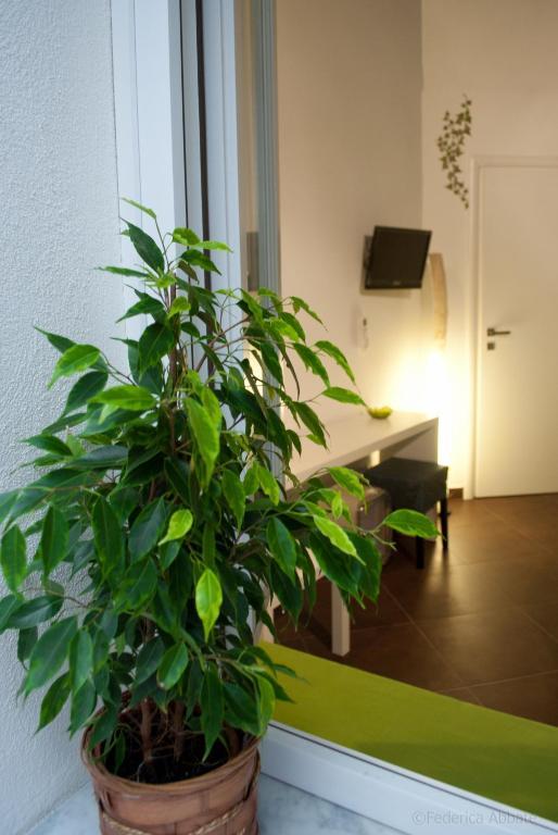 Affittacamere B&B Carella Palermo Rom bilde